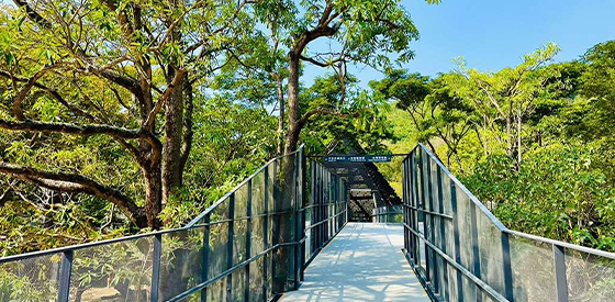 Stroll through the aerial corridor of the Shoushan Zoo to feel the beauty of the Expanded Metal Mesh