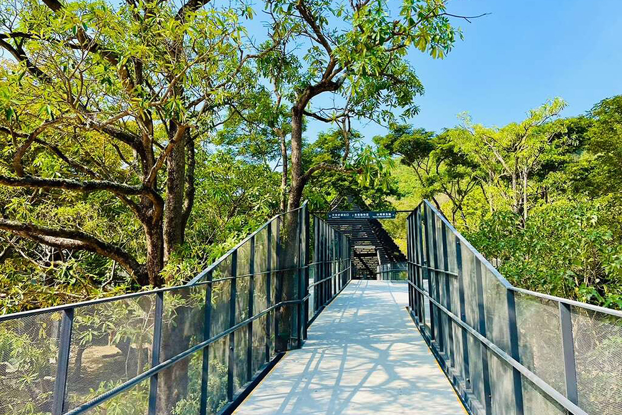 Stroll through the aerial corridor of the Shoushan Zoo to feel the beauty of the Expanded Metal Mesh