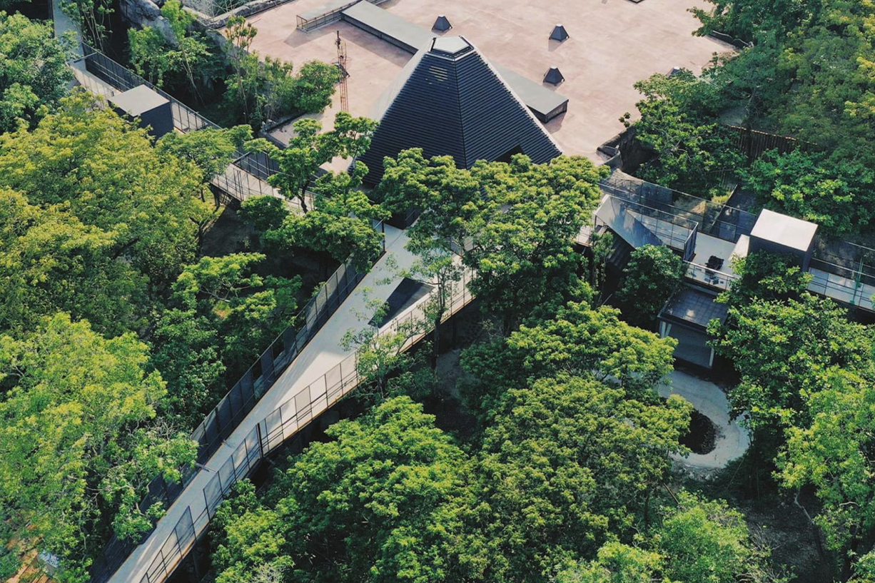 Stroll through the aerial corridor of the Shoushan Zoo to feel the beauty of the Expanded Metal Mesh